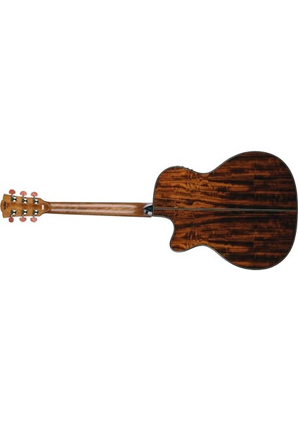 DG-15FOGACES Diana Elektro Akustik Gitar modelleri