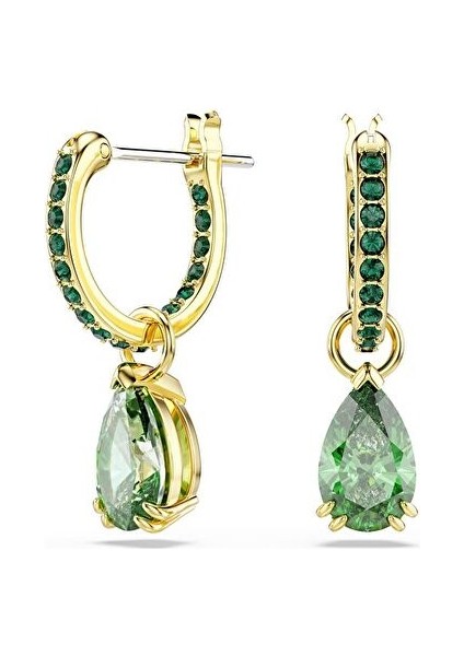 5723564 Swarovski Küpe Mp Attract:pe Mn Hoop Mfp Emer/gos