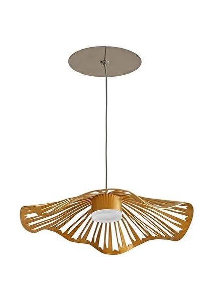 Lenord Gold Sarkıt Avize