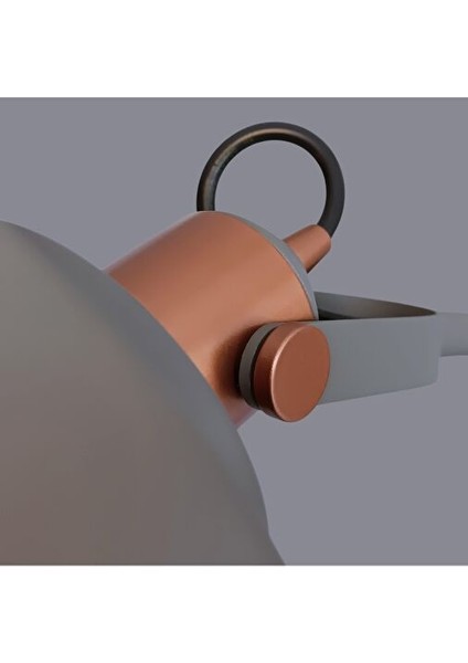 Arcuno Oynar Başlıklı Gri Lambader indirimleri