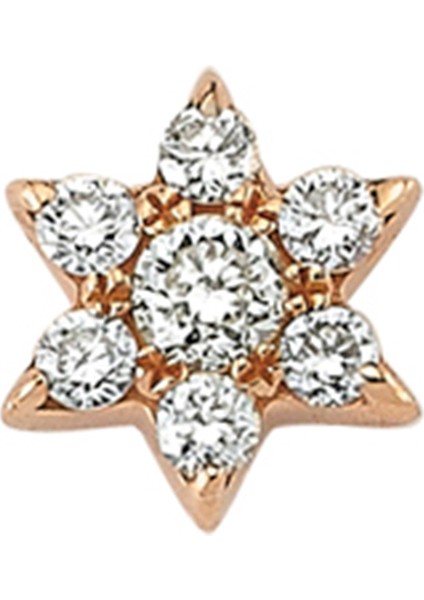 Star Light Kadın Altın Kıkırdak Küpesi