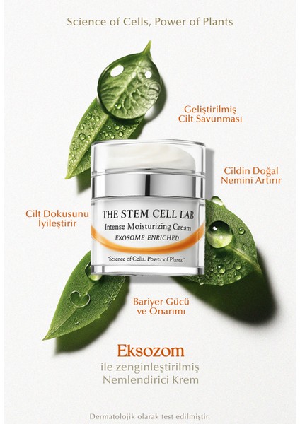 Intense Moisturizing Nemlendirici Yüz Kremi 50 ml fiyatları