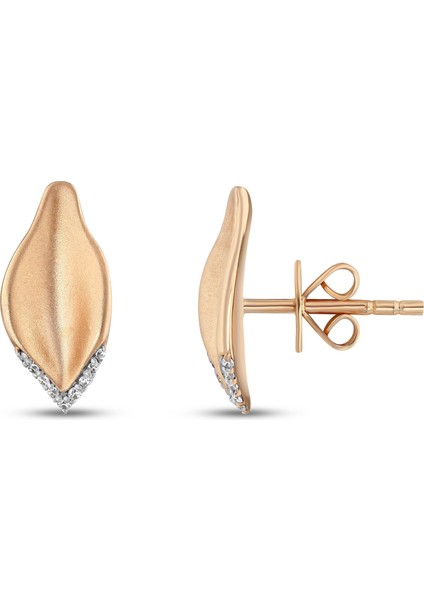 Gloria Kadın Altın Küpe fiyatları