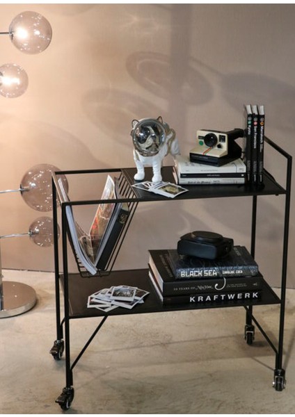 Space Dog Dekoratif Obje 21CM fiyatları