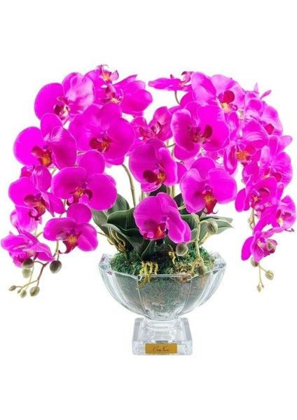 Luxury Centerpiece Mor Orkide Koku