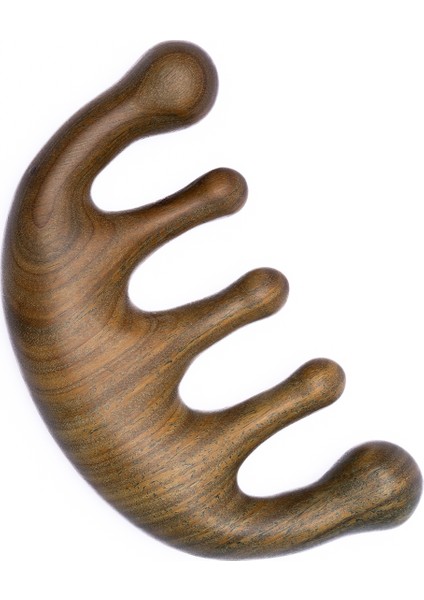 Hair Growth Duo Hızlı Uzayan Saçlar Için Bakım Yağı 100 ml ve Tarak fiyatları