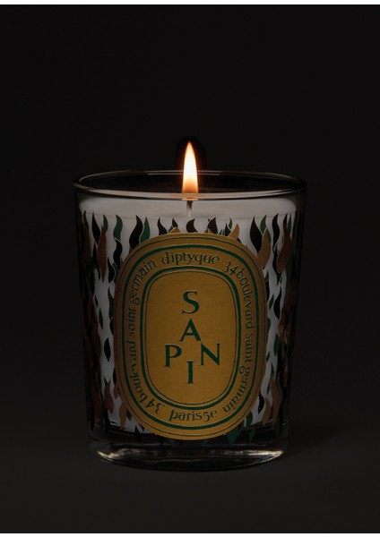 Limited Edition A 190 G Kokulu Mum modelleri