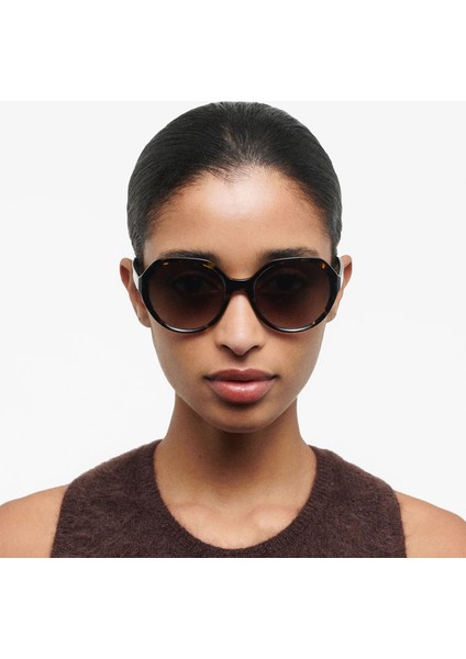 Monique 6948 2 Havana Asetat Kadın Güneş Gözlüğü fiyatları