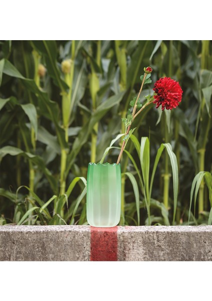 Mare Fonda Mat Fıstık Yeşili Cam Küçük Boy Vazo fiyatları