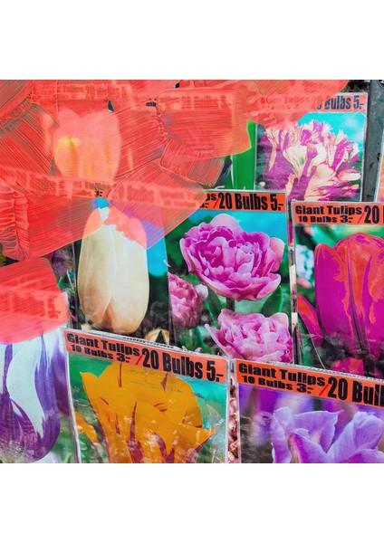 La Tulipe Edp 100 ml Kadın Parfüm fırsatları