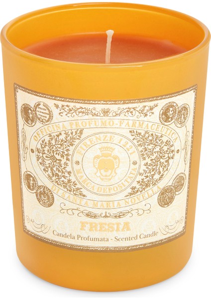 Fresia Kokulu Mum 250 gr modelleri