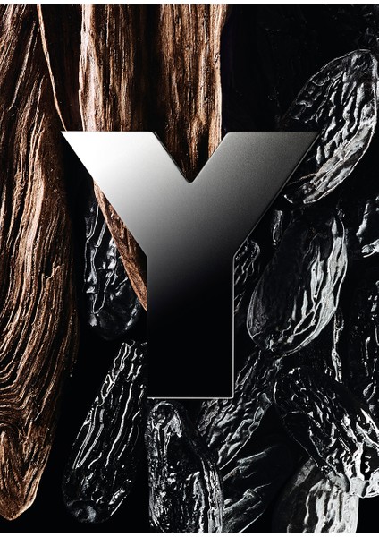 Y Men Edp 100ML modelleri