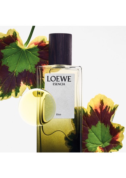 Essencia Elixir Edp 100 ml Erkek Parfüm fırsatları