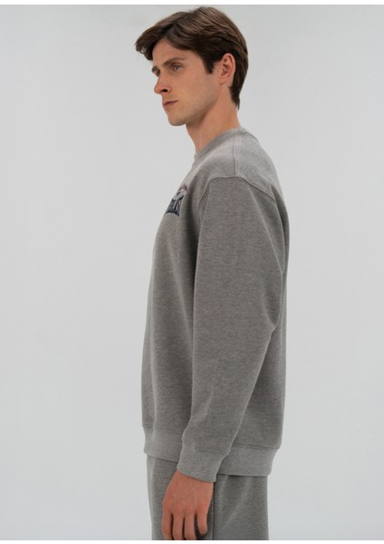 Heritage Champions Gri Unisex Spor Sweatshirt fiyatları