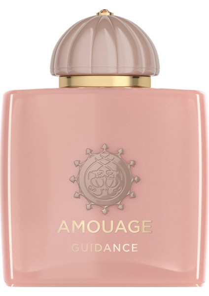 Guidance Edp 100 ml Parfüm