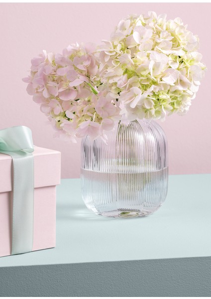 Fleur Cam Vazo 19 cm fiyatları