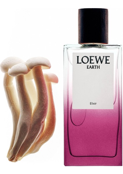 Earth Elıxır 100ML fırsatları