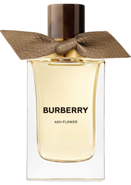 Signatures Collection Edp Ash Flower 100 ml Parfüm