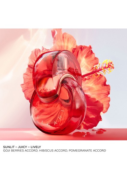 Bvl Omnia Coral Edt 100ML Parfüm fiyatları