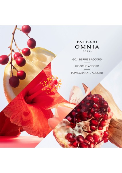 Bvl Omnia Coral Edt 100ML Parfüm modelleri