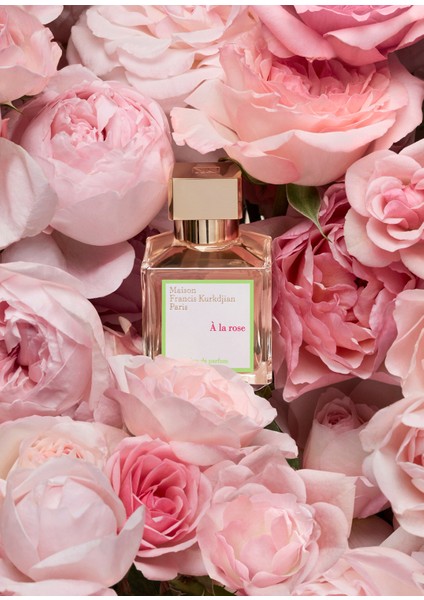 À La Rose Edp 70ML fırsatları