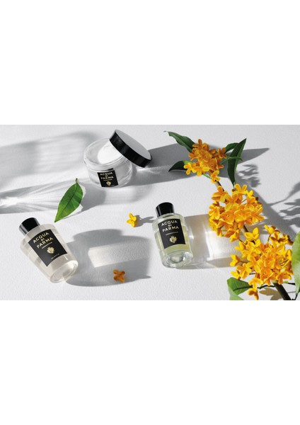 Sıgnature Osmanthus Body Cream 150 ml fırsatları