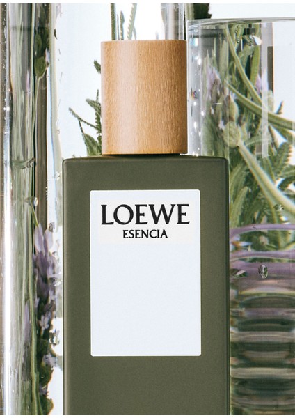 Essencia Edt 100 ml Erkek Parfüm fırsatları