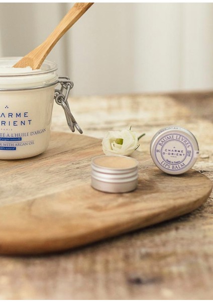 Lip Balm Nemlendirici & Onarıcı Dudak Kremi 10 gr modelleri