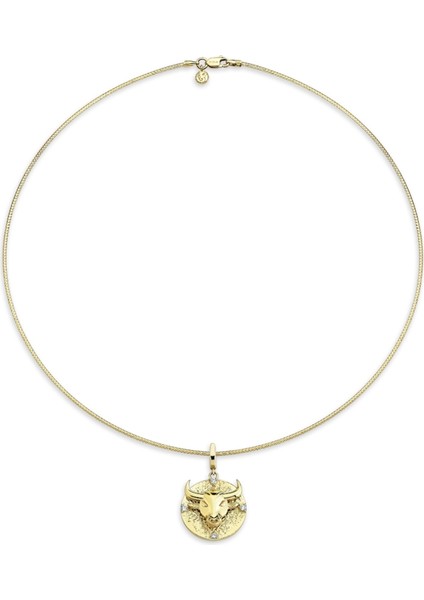 Boğa Burcu Pırlanta Taşlı 14 Ayar Altın Kadın Kolye Ucu fiyatları