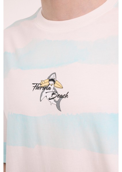 ml Strıpe 11HL110 5pr Turkuaz Erkek Kısa Kol T-Shirt