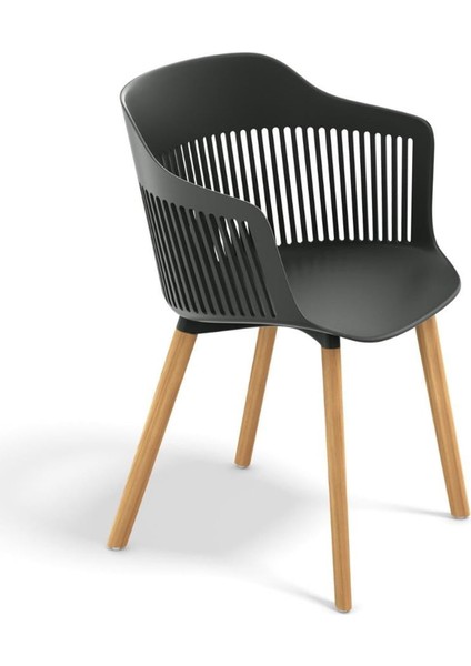 Aiir Black Kollu Bahçe Sandalyesi