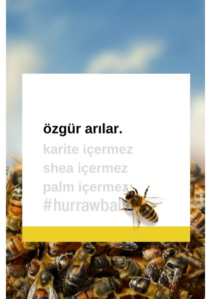 Almond Lip Balm Badem fiyatları