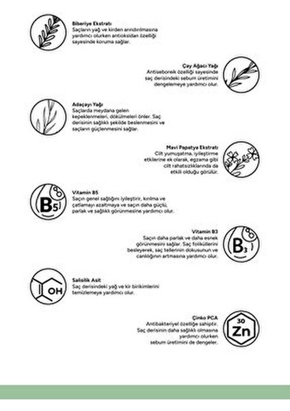 Arındırıcı Sülfatsız Şampuan Kokusuz 250 ml Pamuk Karışımı Malzeme ile Tüm Saçlar İçin