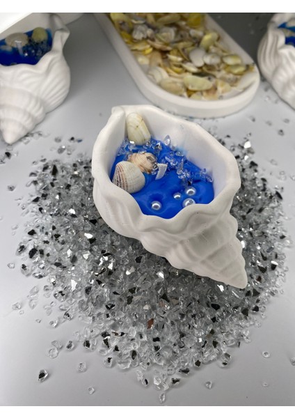 20 Adet Deniz Kabuğu Mum, Söz, Nişan, Nikah Hediyelik Deniz Kabuğu Mumluk