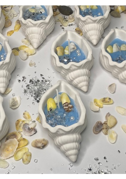 20 Adet Deniz Kabuğu Mum, Söz, Nişan, Nikah Hediyelik Deniz Kabuğu Mumluk modelleri