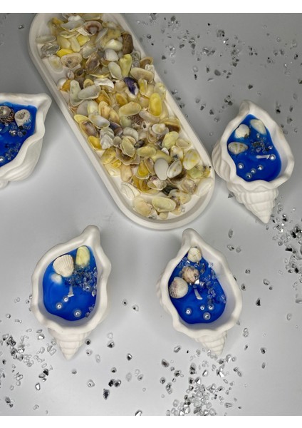 20 Adet Deniz Kabuğu Mum, Söz, Nişan, Nikah Hediyelik Deniz Kabuğu Mumluk fırsatları