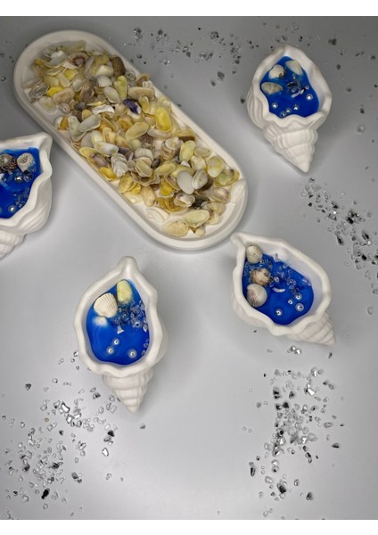 20 Adet Deniz Kabuğu Mum, Söz, Nişan, Nikah Hediyelik Deniz Kabuğu Mumluk indirimleri