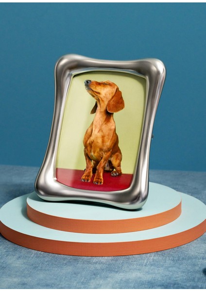 Anton Silver Çerçeve fiyatları