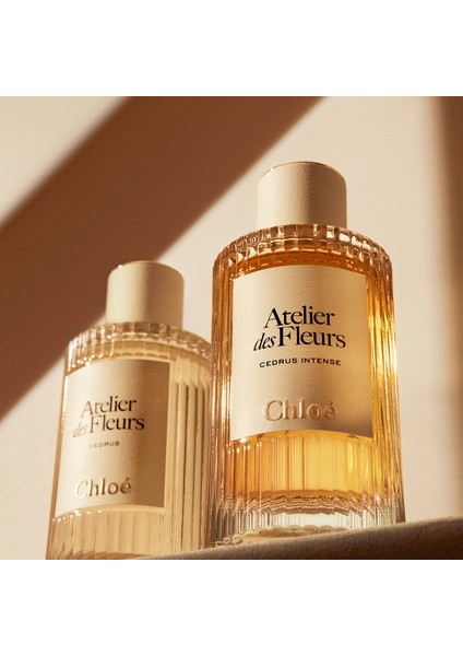 Atelier Des Fleurs Cedrus Intense Edp 50 ml fırsatları