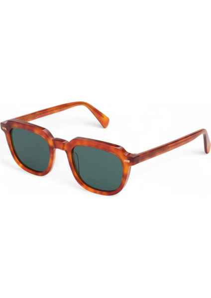 Dail Classic Havana Asetat Kadın Güneş Gözlüğü modelleri