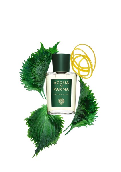 Colonia C L U B Edc 100 ml Unisex Parfüm modelleri