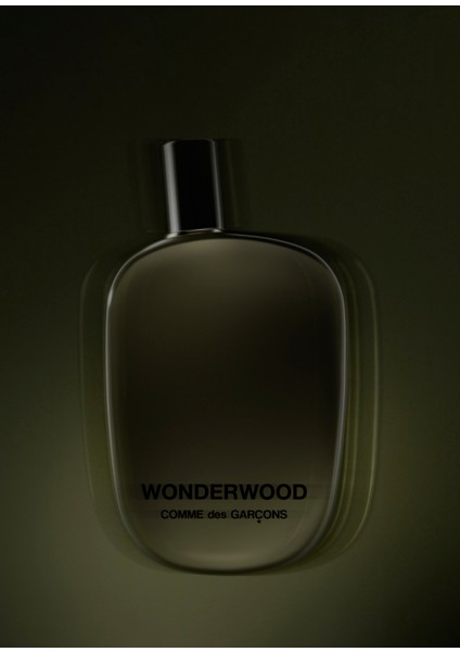 Wonderwood Edp 100 ml Unisex Parfüm modelleri