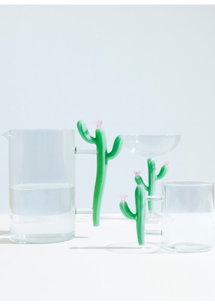Desert Plants Mat Yeşil Kaktüs Saplı Cam Sürahi fiyatları