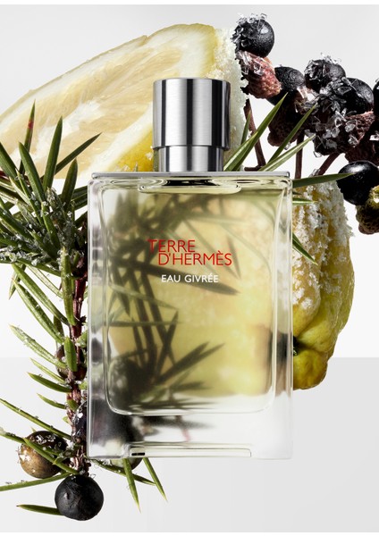 Terre D'hermes Eau Givree 175 ml Erkek Edp indirimleri