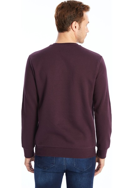 Yeni Sezon Bisiklet Yaka Erkek Sweatshirt fırsatları