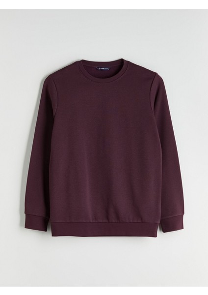 Yeni Sezon Bisiklet Yaka Erkek Sweatshirt indirimleri