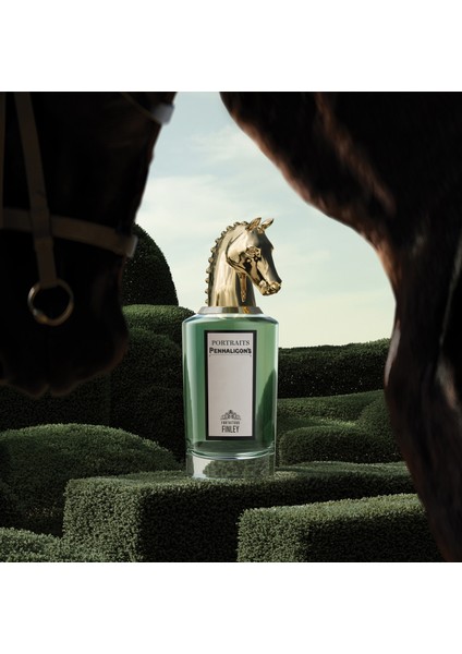 Fortuitous Finley Edp 75 ml Unisex Perfume fırsatları