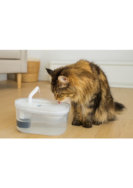 Cans Arıtmalı Kedi Su Sebili 2.5 Lt - Sessiz Motorlu, Karbon Filtreli ve Hijyenik Su Kaynağı fiyatları