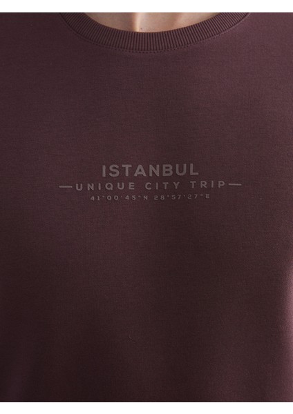 Yeni Sezon Bisiklet Yaka Baskılı Erkek Sweatshirt modelleri