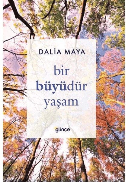 Bir Büyüdür Yaşam
